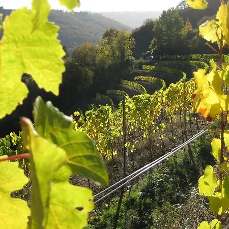 Apartamento Haus Luzia *