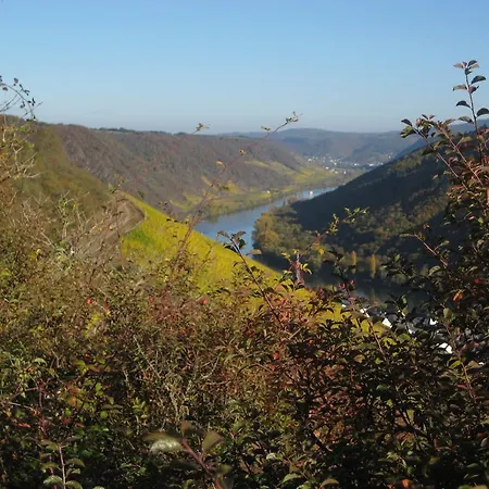 Haus Luzia Apartamento Sankt Aldegund