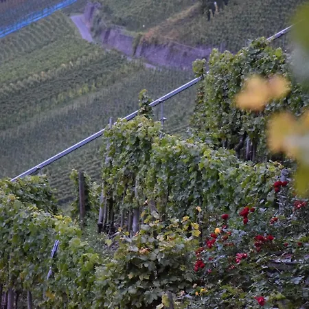 Haus Luzia Sankt Aldegund