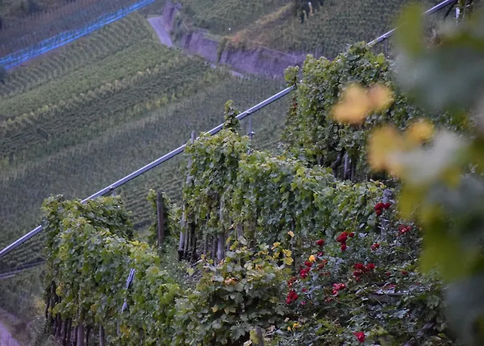 Haus Luzia Sankt Aldegund